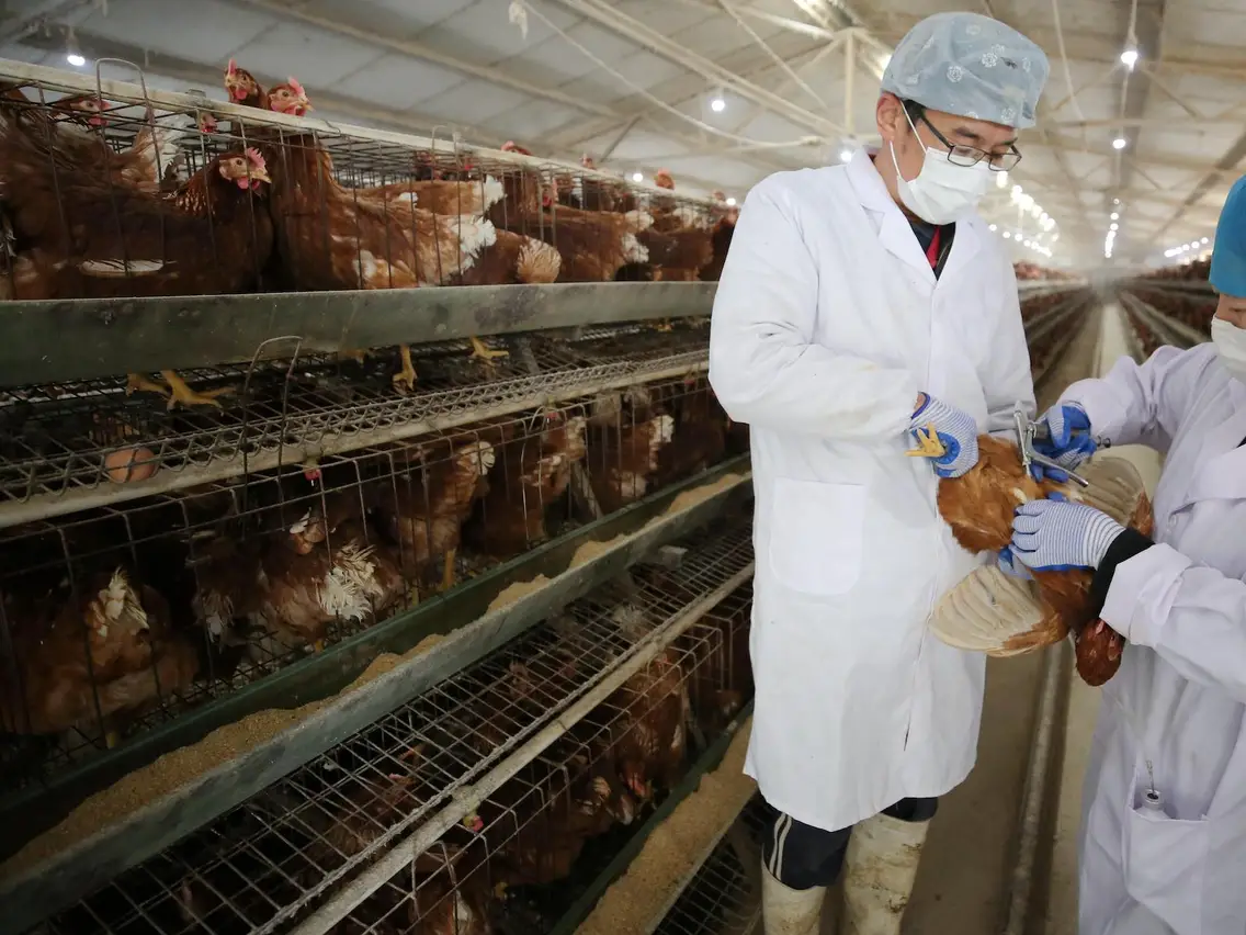 5e8bd2fb73d0c80b5c160054