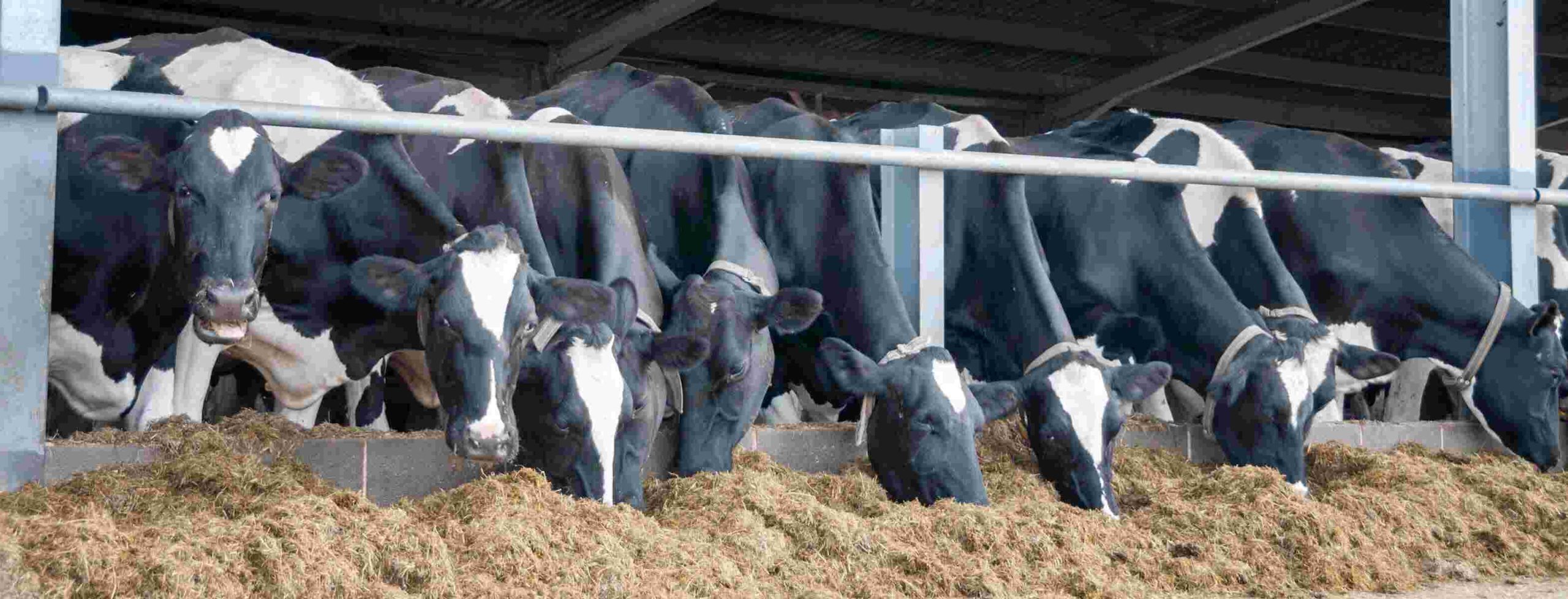 Hero-Slider-Image-1@2x (1)