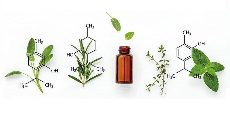 محفزات النمو البيولوجية