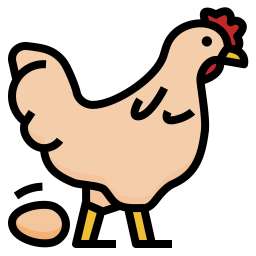 رسم كرتوني لدجاجة صغيرة