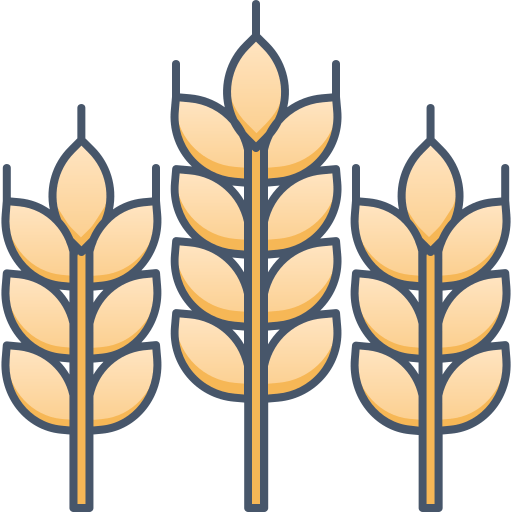 رسم كرتوني لثلاث سنابل قمح ذهبية