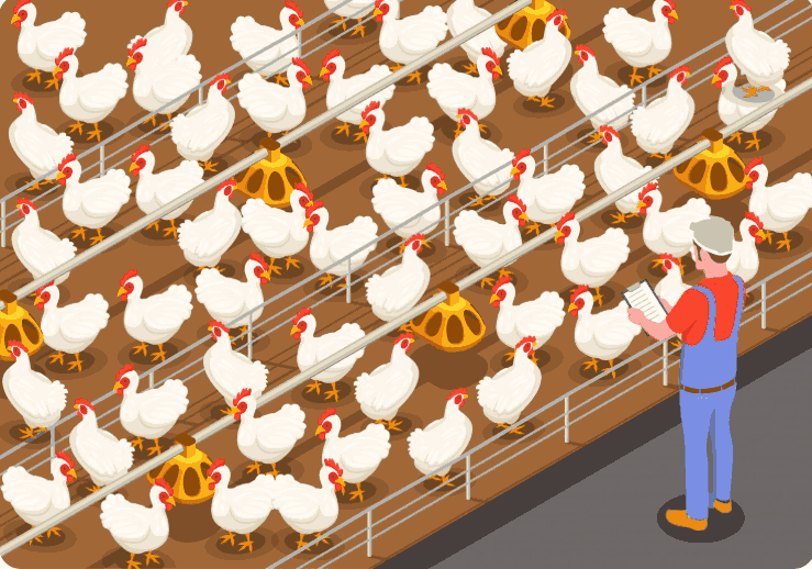 رسم كرتوني لشخص يقف داخل مزرعة دواجن وبيده دفتر ملاحظات